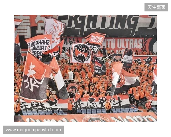 苗原谈泰山引援：账户里有200万水平购买力 但文旅决策尽量少花钱