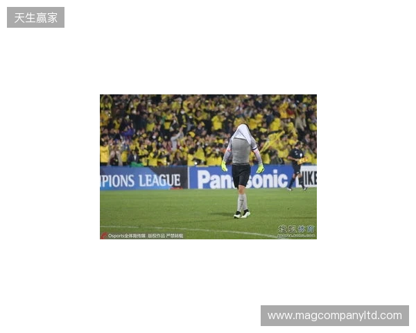 两连败丢6球!泰山1-2英博4轮积0分 马莱莱双响瓦科破门难救主 两连败丢6球!泰山1-2英博4轮积0分 马莱莱双响瓦科破门难救主