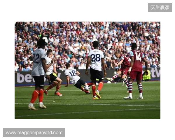 DO:热刺有望在今年夏天免签罗伯逊,前提是在英超保级 DO:热刺有望在今年夏天免签罗伯逊,前提是在英超保级